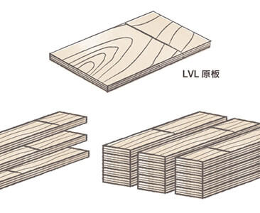 木の特性を建築に活かすには。主要な木材の種類と特徴まとめ
