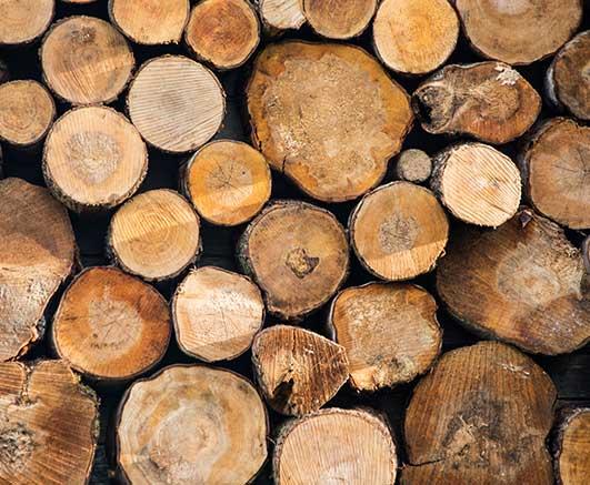 【木材利用特別企画実施中】木促法とは？その目的と着眼点のご紹介