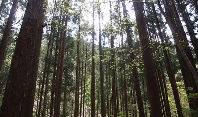 「木で建てる」が発信する情報