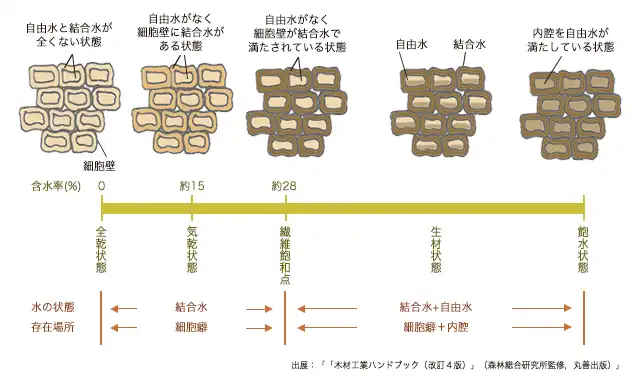 保存処理による木材の寸法への影響