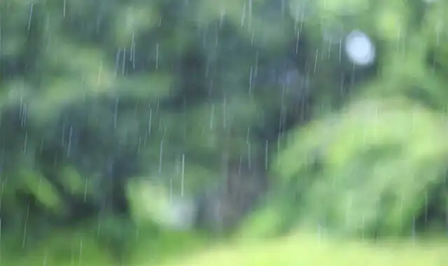 保存処理の種類