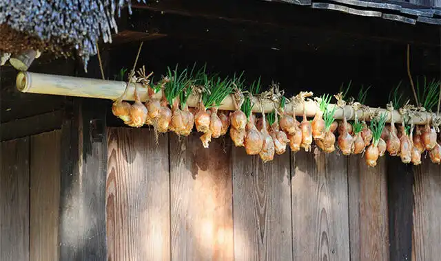 日本人はこうして夏を乗り切ってきた。木造建築の知恵と工夫